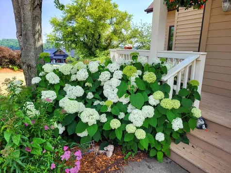 26-64 Blackwood Court Lanark IL 61046