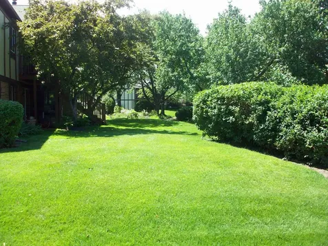 367 Pembroke Lane Glen Ellyn IL 60137