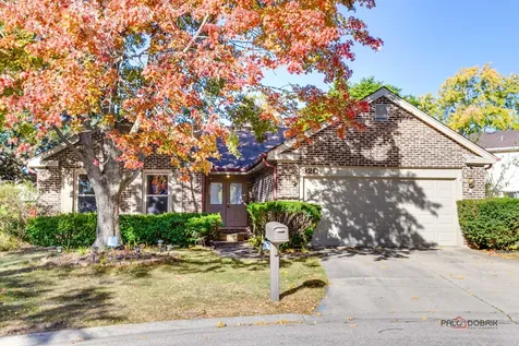 920 Lee Court Buffalo Grove IL 60089