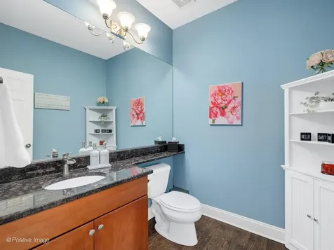 771 West Kristen Court Palatine IL 60067