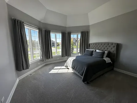 23241 Sunburst Point Frankfort IL 60423