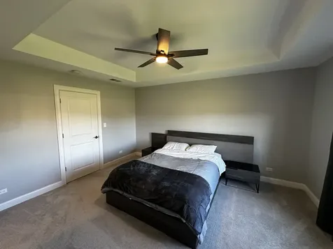 23241 Sunburst Point Frankfort IL 60423