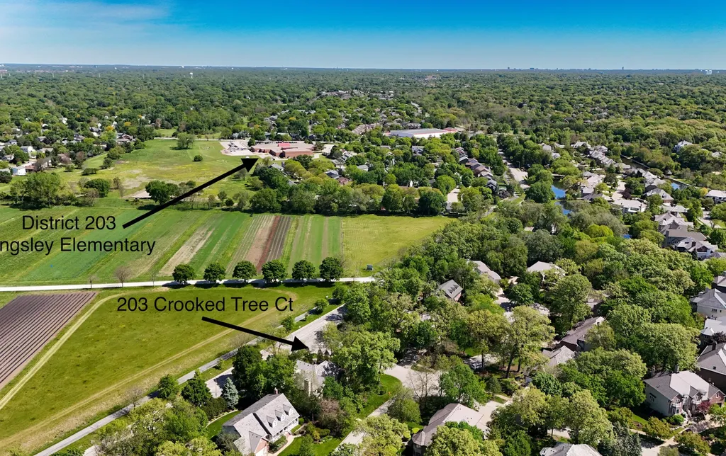 203 Crooked Tree Court Naperville IL 60565