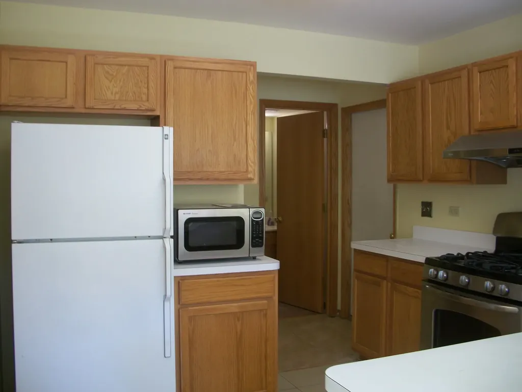 964 Elderberry Circle Naperville IL 60563