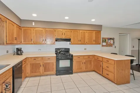 15530 Donegal Drive Manhattan IL 60442
