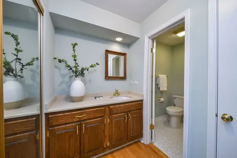 541 Williamsburg Road Glen Ellyn IL 60137