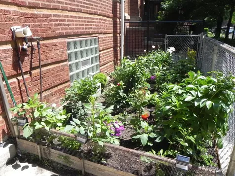 2330 West Thomas Street Chicago IL 60622