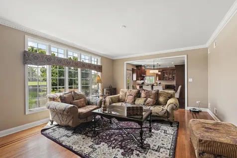 17320 Elk Drive Orland Park IL 60467