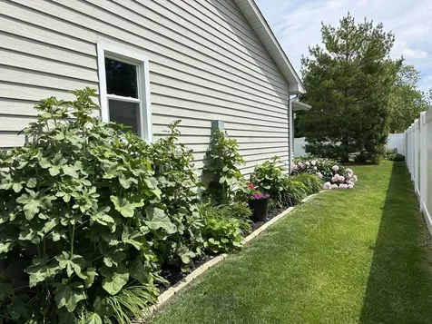 530 North Van Buren Avenue Bradley IL 60915