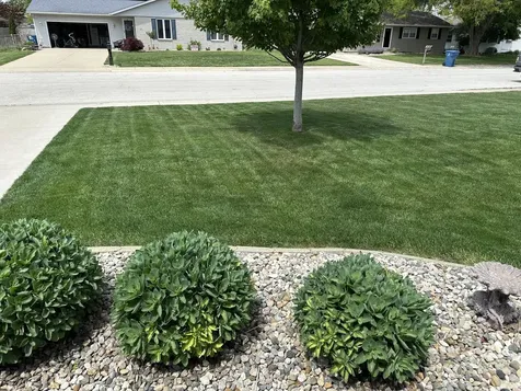 530 North Van Buren Avenue Bradley IL 60915