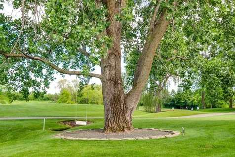 4465 Kettering Drive Long Grove IL 60047