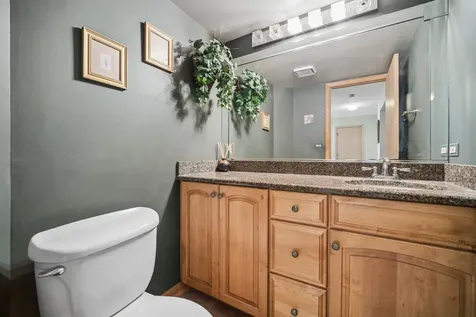 1193 Morning Glory Lane Bartlett IL 60103
