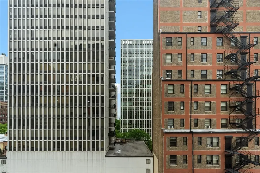 1221 North Dearborn Street Chicago IL 60610