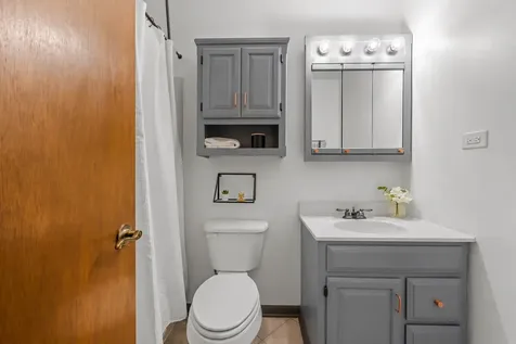 184 Locust Street South Elgin IL 60177