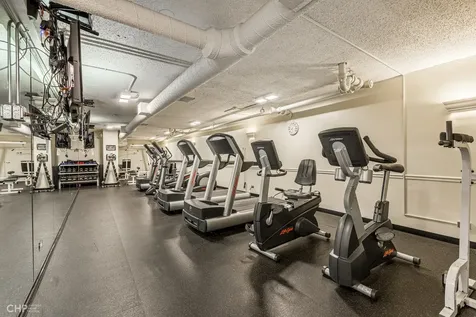 1560 North Sandburg Terrace Chicago IL 60610