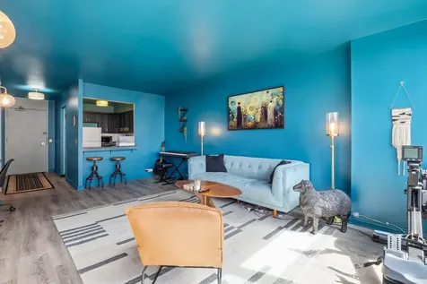 1560 North Sandburg Terrace Chicago IL 60610