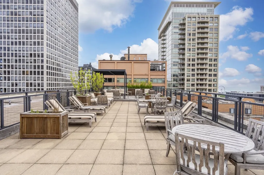 850 North Dewitt Place Chicago IL 60611