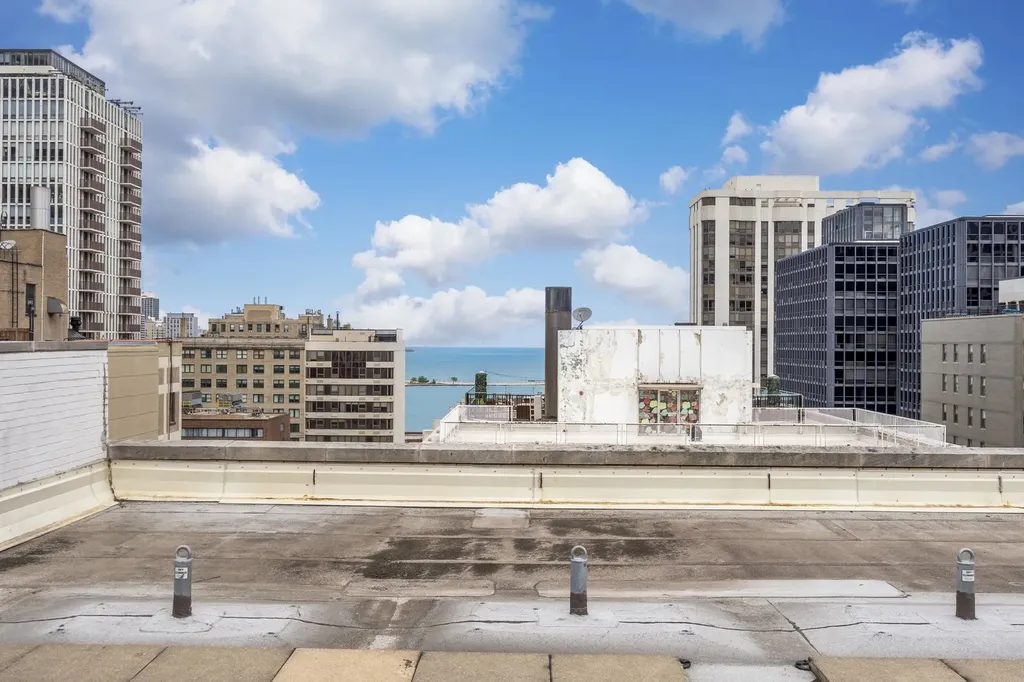 850 North Dewitt Place Chicago IL 60611