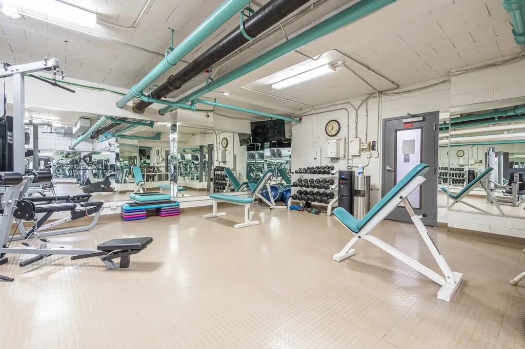 850 North Dewitt Place Chicago IL 60611