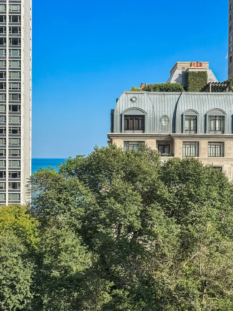 1260 North Astor Street Chicago IL 60610