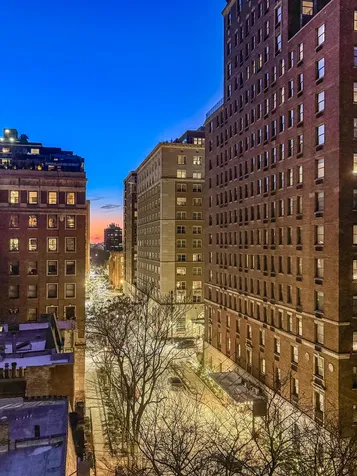 1260 North Astor Street Chicago IL 60610