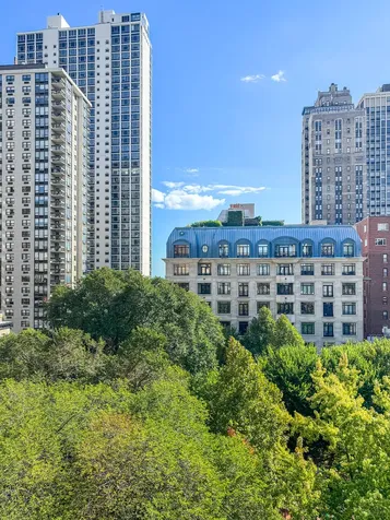 1260 North Astor Street Chicago IL 60610