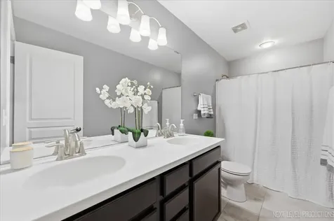 708 Rochester Lane South Elgin IL 60177