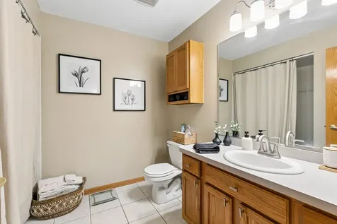 15931 Blackwater Court Tinley Park IL 60477