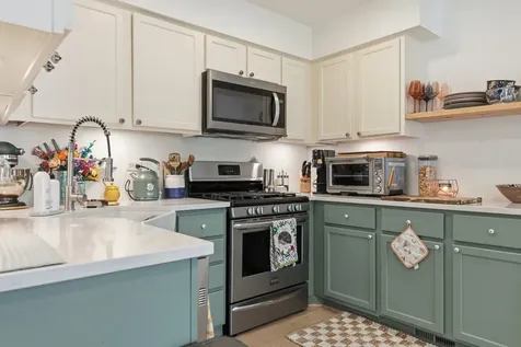 166 South Stonington Drive Palatine IL 60074