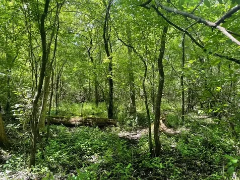 Lot 0 Pine Street S Mchenry IL 60051
