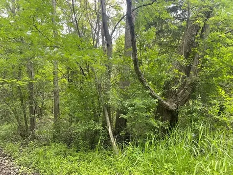 Lot 0 Pine Street S Mchenry IL 60051