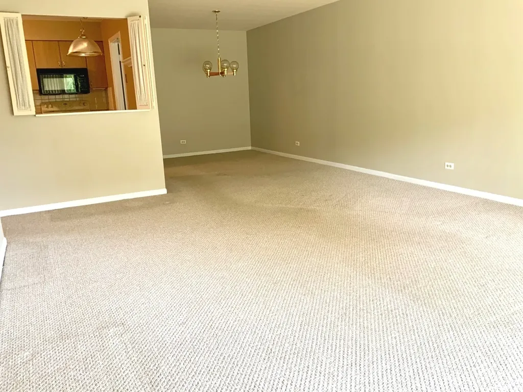 1103 North Mill Street Naperville IL 60563