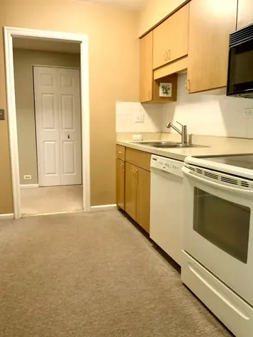 1103 North Mill Street Naperville IL 60563