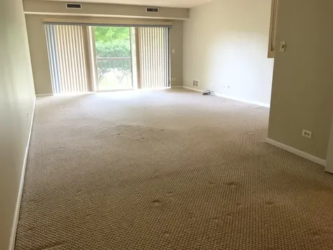 1103 North Mill Street Naperville IL 60563