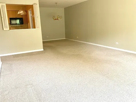 1103 North Mill Street Naperville IL 60563