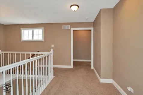 8638 Saddlebred Court Frankfort IL 60423