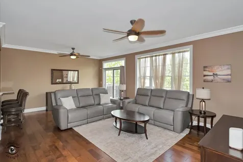 8638 Saddlebred Court Frankfort IL 60423