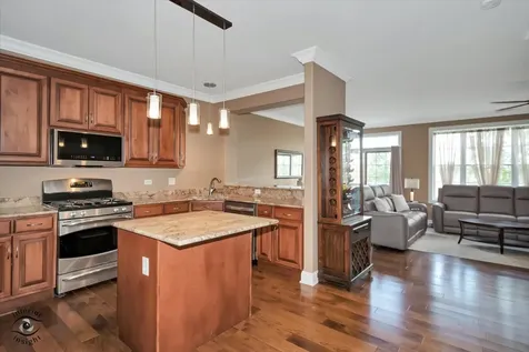 8638 Saddlebred Court Frankfort IL 60423