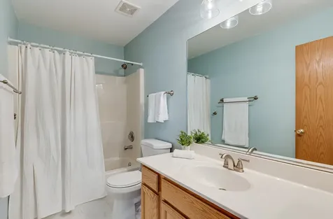 329 Millstream Lane Oswego IL 60543