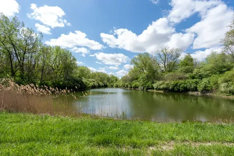 2931 1300 North Avenue Neponset IL 61345