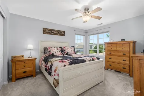 265 Grays Drive Oswego IL 60543