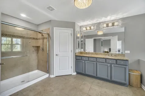 21898 West Talia Lane Deer Park IL 60010