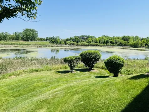 21898 West Talia Lane Deer Park IL 60010