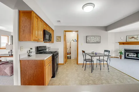 15006 Mayo Drive Orland Park IL 60462