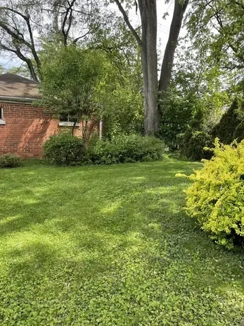 6505 North Minnehaha Avenue Chicago IL 60646