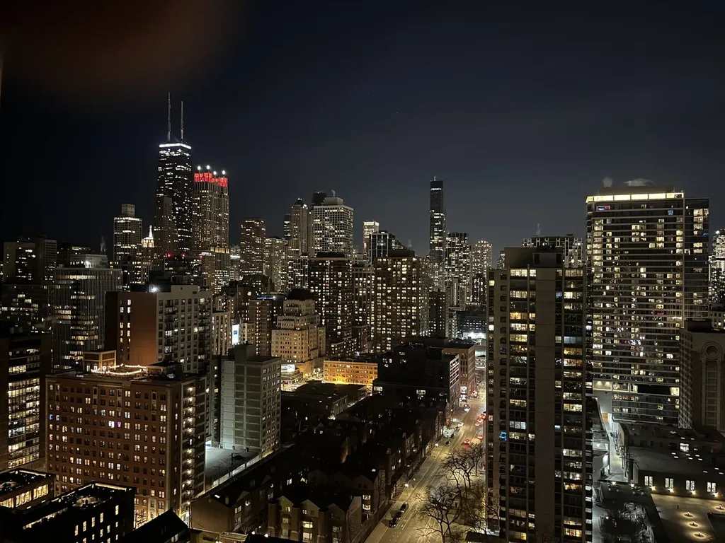 1355 North Sandburg Terrace Chicago IL 60610