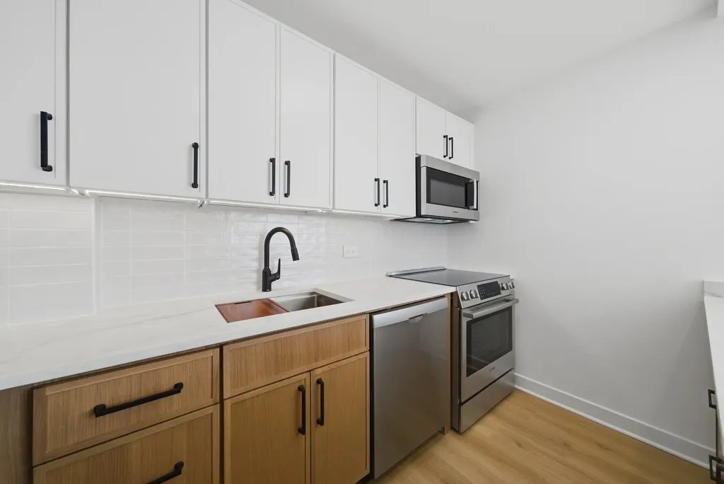 1355 North Sandburg Terrace Chicago IL 60610