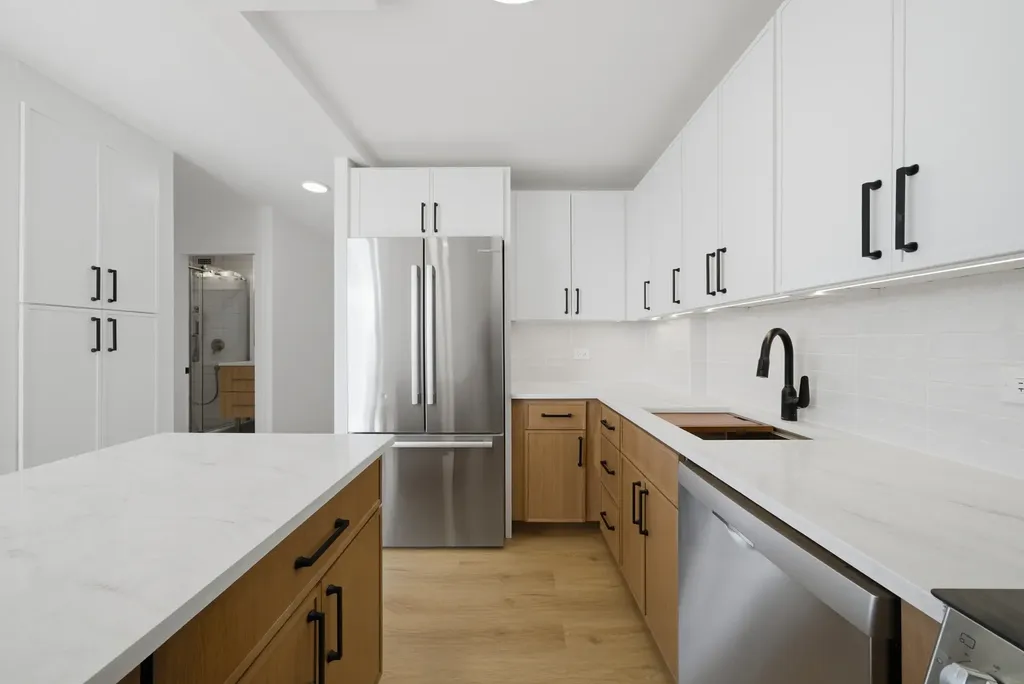 1355 North Sandburg Terrace Chicago IL 60610