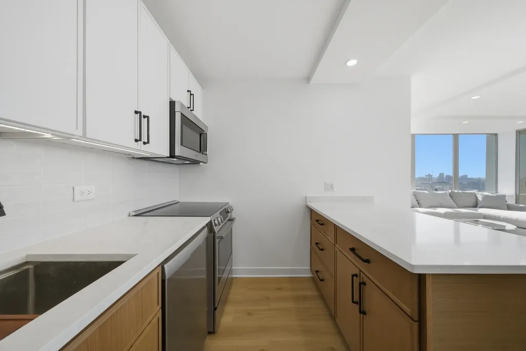 1355 North Sandburg Terrace Chicago IL 60610