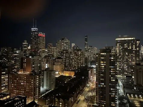 1355 North Sandburg Terrace Chicago IL 60610